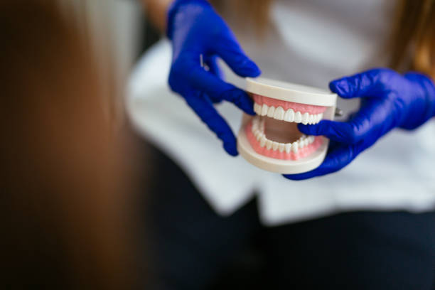 Emergency Dental Services in Black Diamond, FL